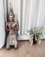 Bodhi Thaï