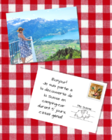 Tour de Suisse en 5 jours