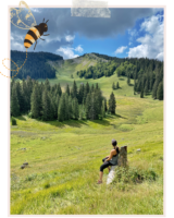 En pleine nature à la Cure